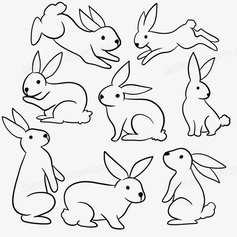 兔子勾线图解图片
