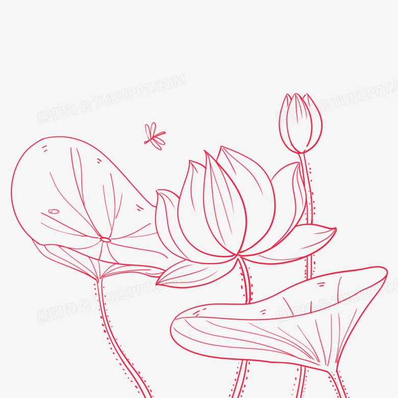 手绘线条夏季荷花荷叶花卉线稿素材