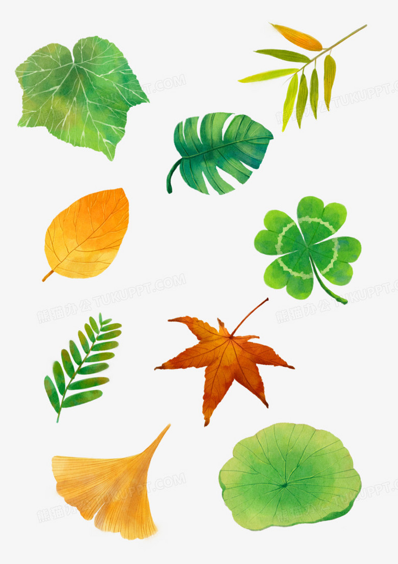 本作品全称为《卡通风彩色树叶合集创意元素》,使用 adobe photoshop