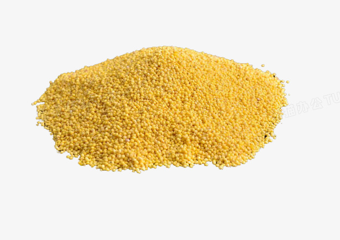 黄色小米png图片素材下载_黄色png_熊猫办公