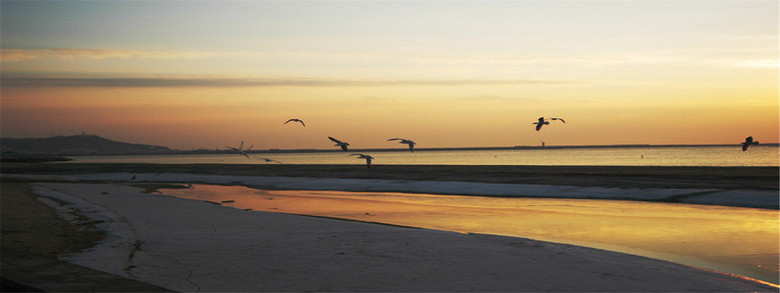 作品内容为风景背景图,                                格式为 png