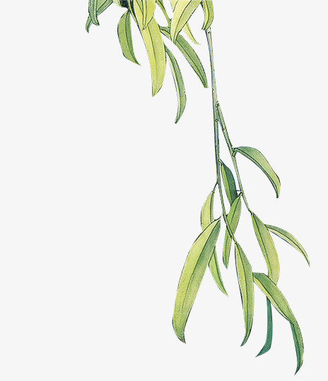 在整个配色上使用绿色作为基础色调,设计了漂浮柳絮,卡通风效果的