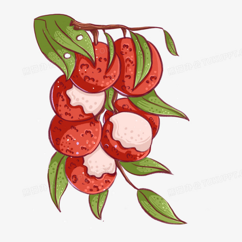 卡通线描荔枝水果免抠元素png图片素材下载_卡通png_熊猫办公
