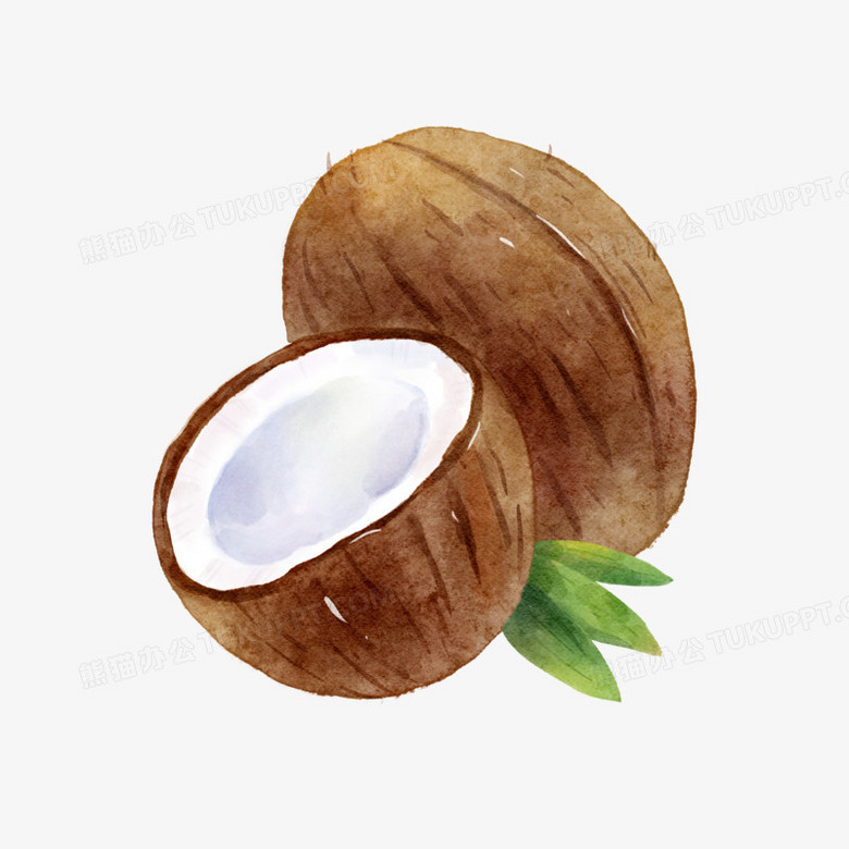 手绘水彩风椰子免抠元素png图片素材下载_水彩png_熊猫办公