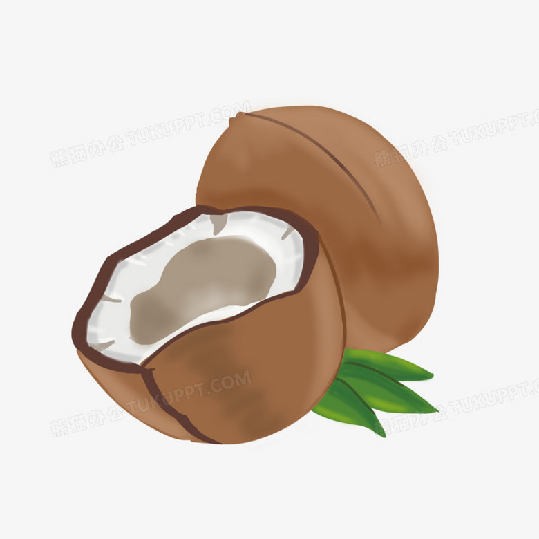 手绘卡通椰子水果元素png图片素材下载_卡通png_熊猫办公
