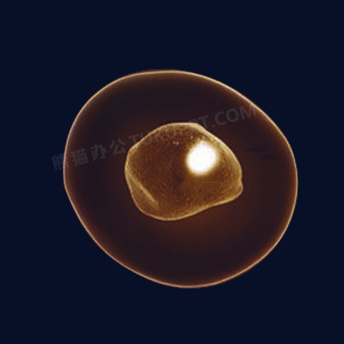 干细胞透明医学素材免费下载