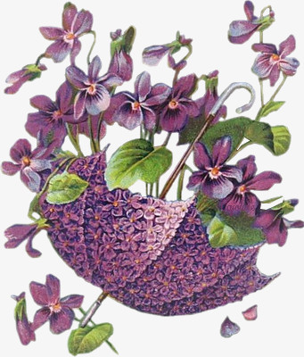 手绘花手绘花素描唯美紫色花伞png图片素材下载 素材png 熊猫办公 手绘花手绘花素描唯美紫色花伞png图片素材下载 素材png 熊猫办公