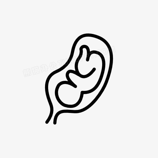 胎儿画法图片