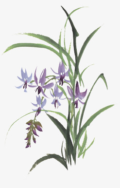 紫色水仙花png图片素材下载 水仙花png 熊猫办公 紫色水仙花png图片素材下载 水仙花png 熊猫办公
