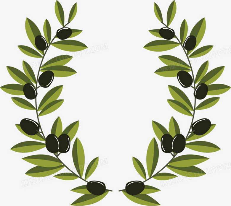 矢量橄榄枝装饰PNG图片素材下载_橄榄枝PNG_熊猫办公