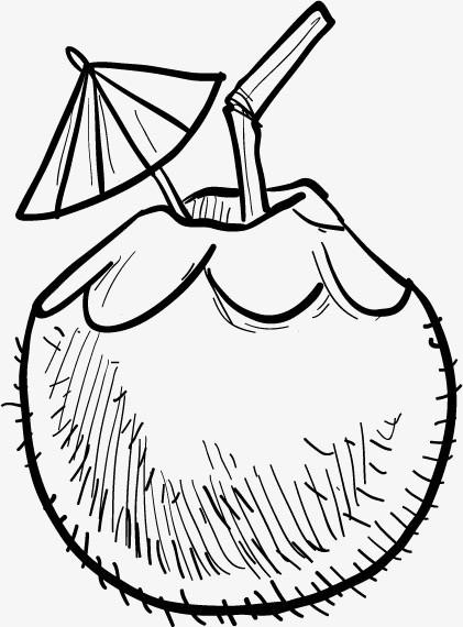 袖珍椰子绘画图片