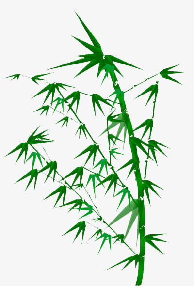 绿竹长青png图片素材下载_长青png_熊猫办公