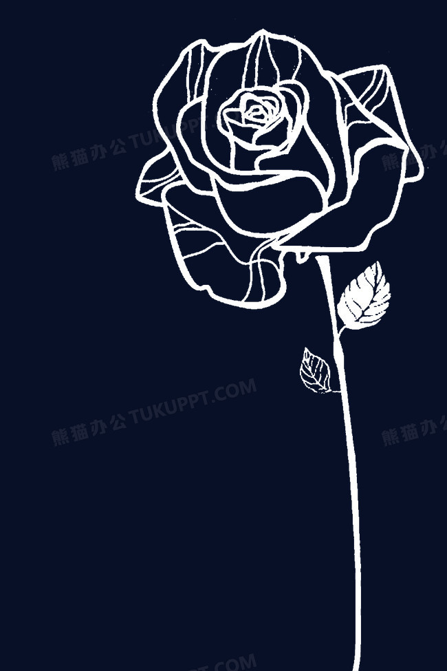 线条玫瑰