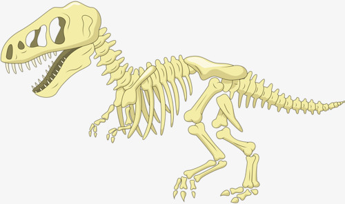 恐龙化石png图片素材下载 恐龙png 熊猫办公