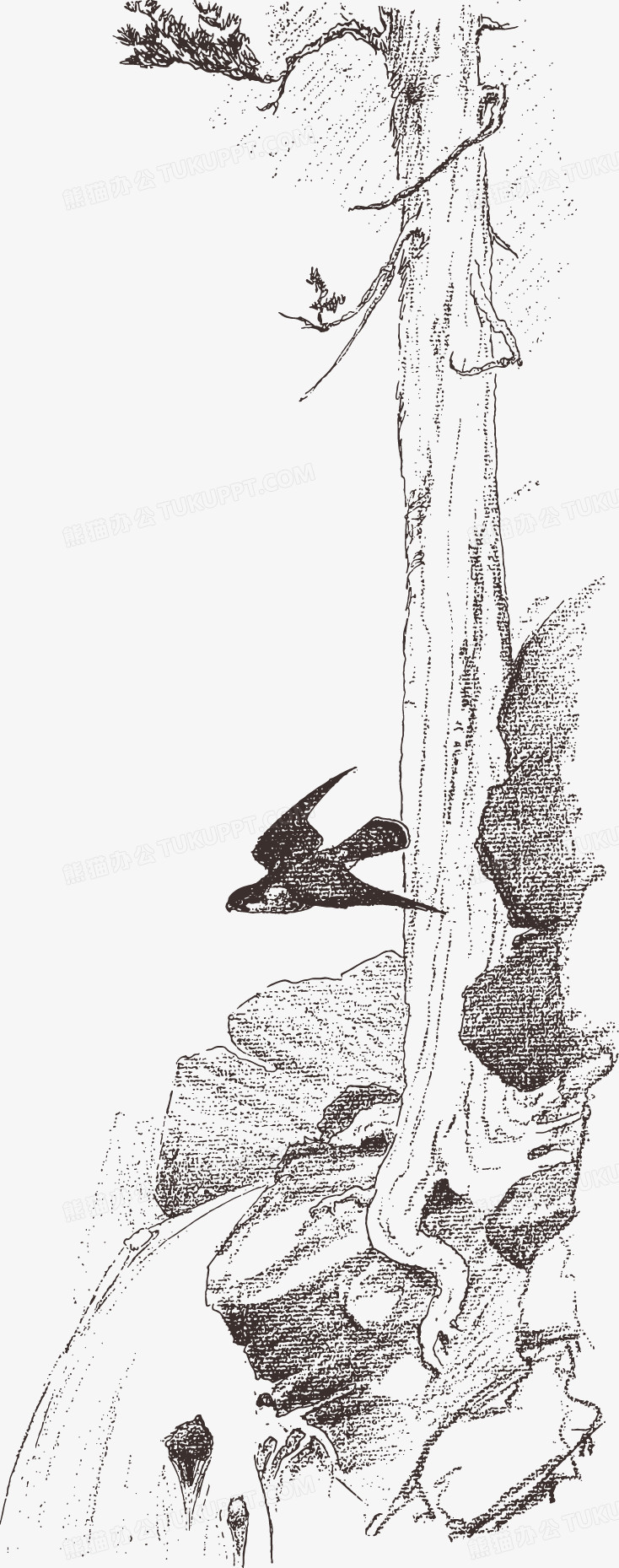 素描古树燕子石头