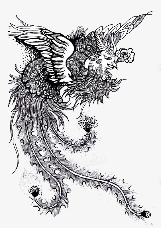 黑白色中国风凤凰图