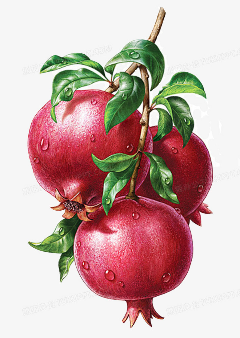 在整个配色上使用多种色彩作为基础色调,设计了精美石榴油画,卡通风