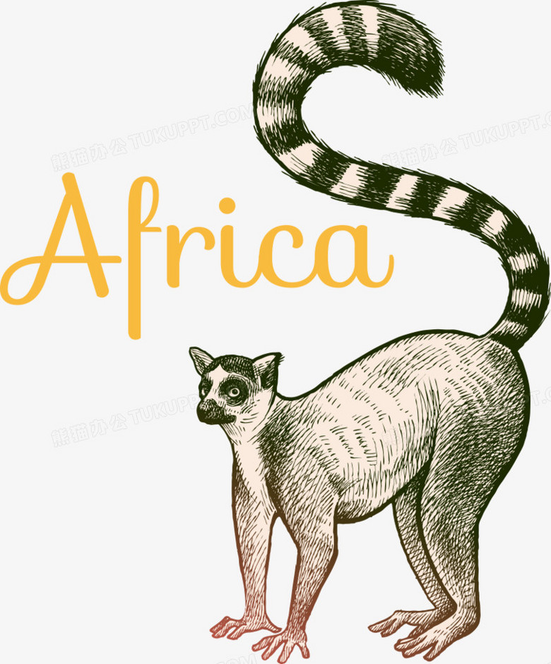 矢量卡通环尾狐猴