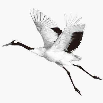 仙鹤png图片素材下载_仙鹤png_熊猫办公