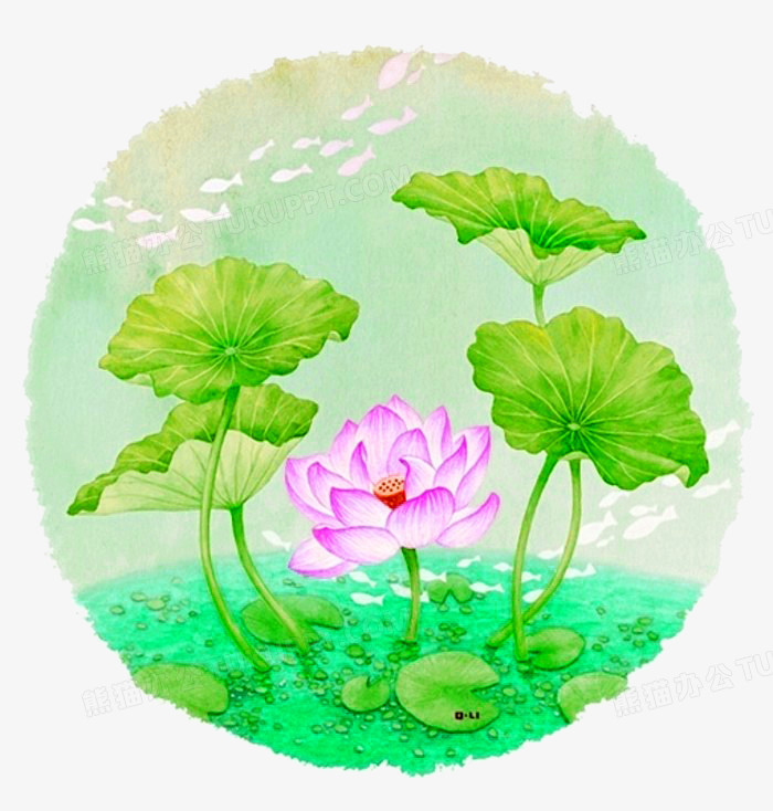 荷花图片手绘(荷花图片手绘水彩笔画)