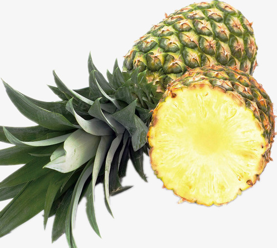 半个被切开的菠萝png图片素材下载_菠萝png_熊猫办公