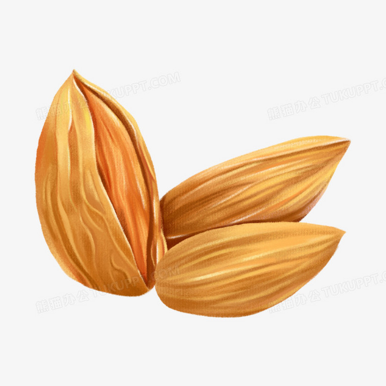 一组手绘插画风坚果套图之巴旦木元素