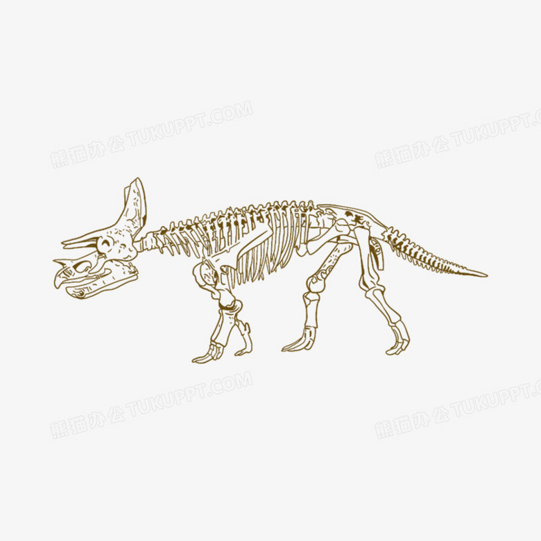 一组手绘线稿线描风恐龙骨骼化石元素