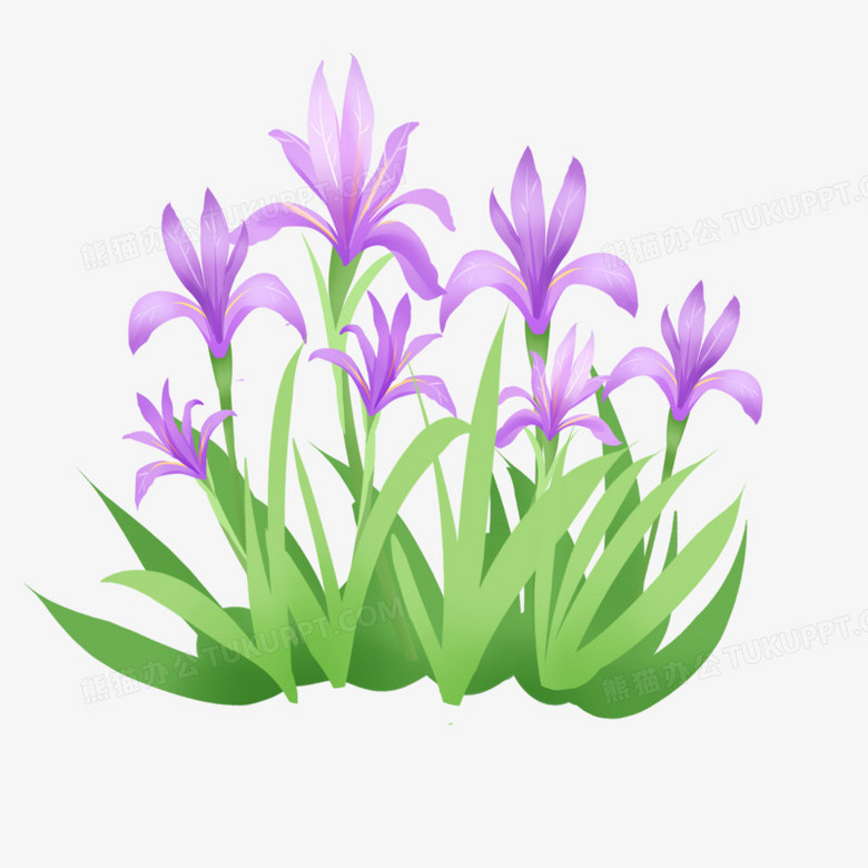 手绘卡通一簇马兰花免抠素材