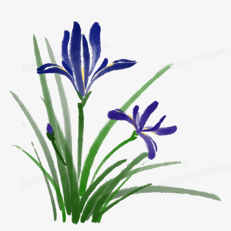 手绘水墨风马兰花素材
