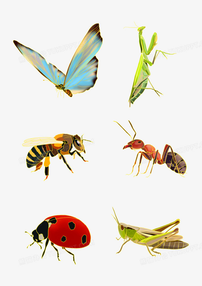 一组手绘国潮风昆虫组合套图元素png图片素材下载_昆虫png_熊猫办公