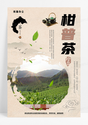 中国风茶叶柑普茶促销海报