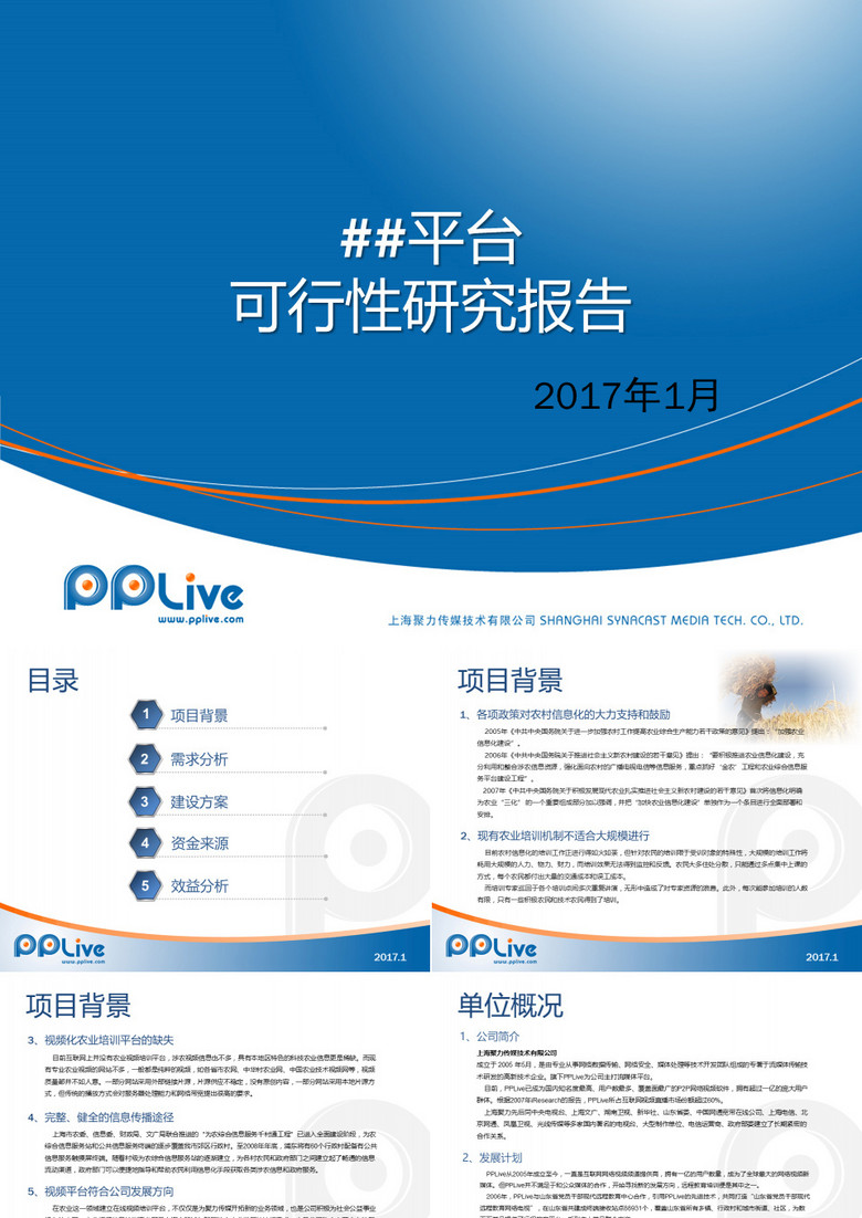 公司企业发展规划可行性研究报告ppt模板下载 熊猫办公