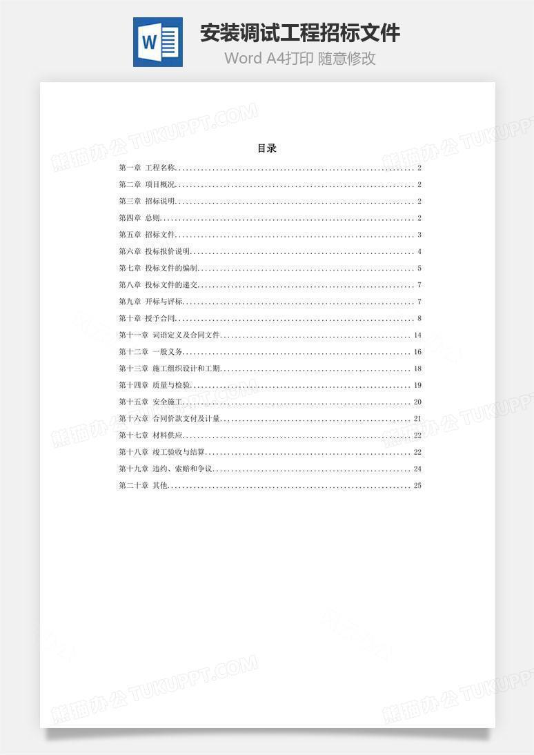 安装调试工程招标文件word文档