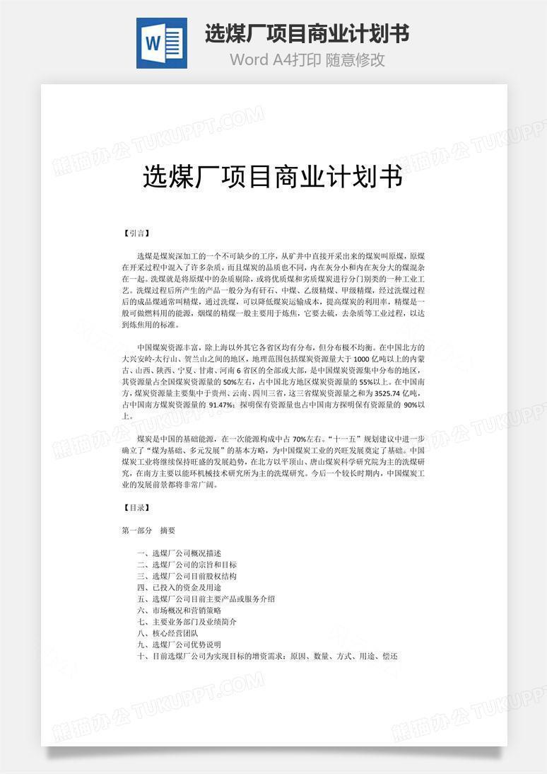 选煤厂项目商业计划书word文档