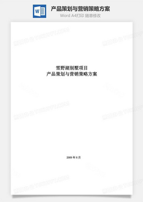 产品策划与营销策略方案word文档