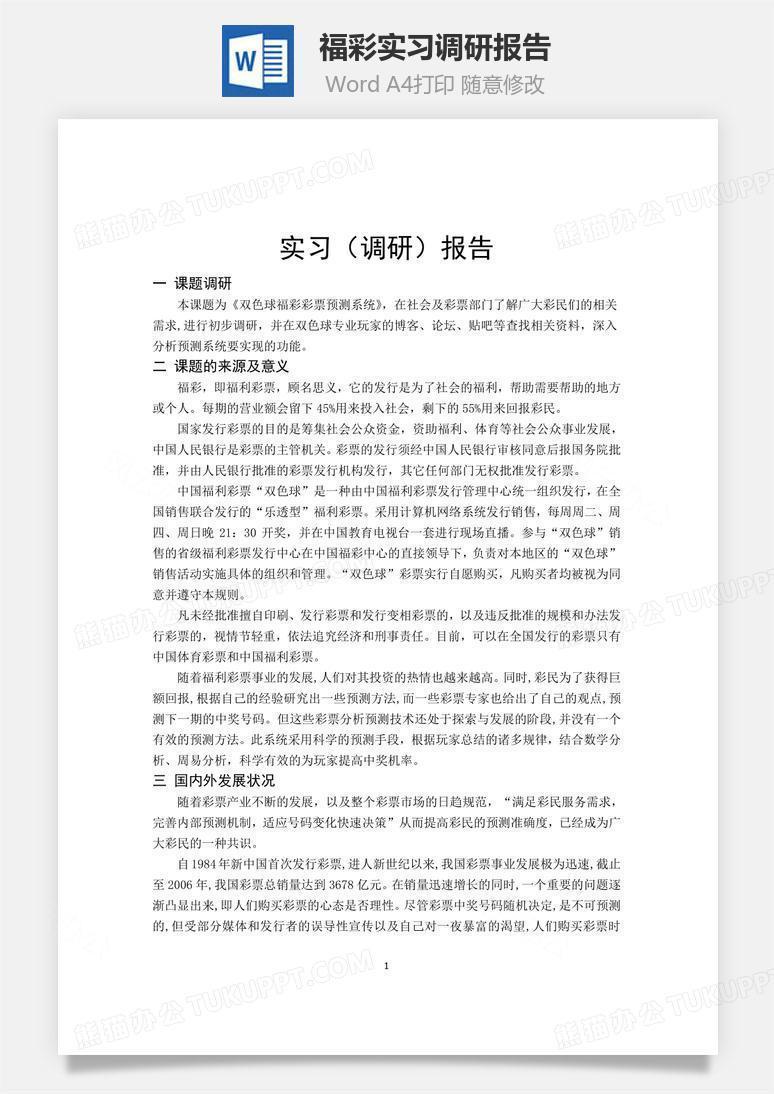 福彩实习调研报告word文档