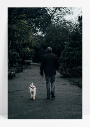 老人遛狗散步背影图片