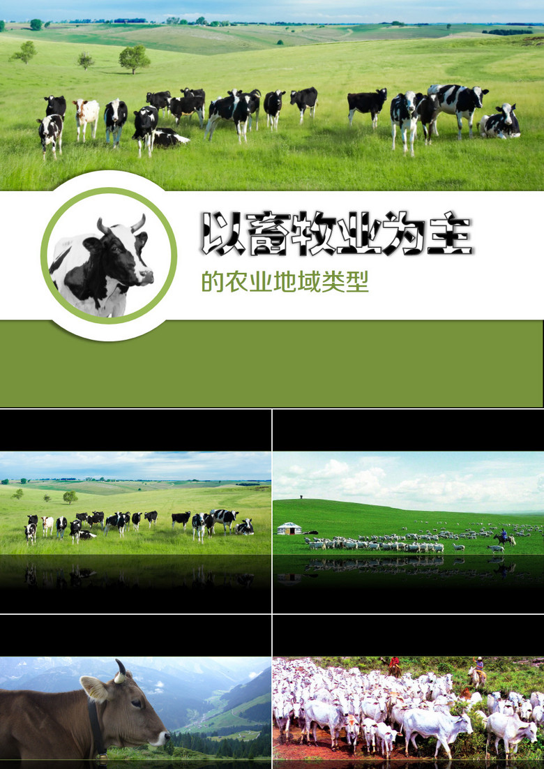 畜牧养殖业发展宣传PPT模板