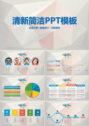 企业介绍产品市场项目规划营销策略PPT模板
