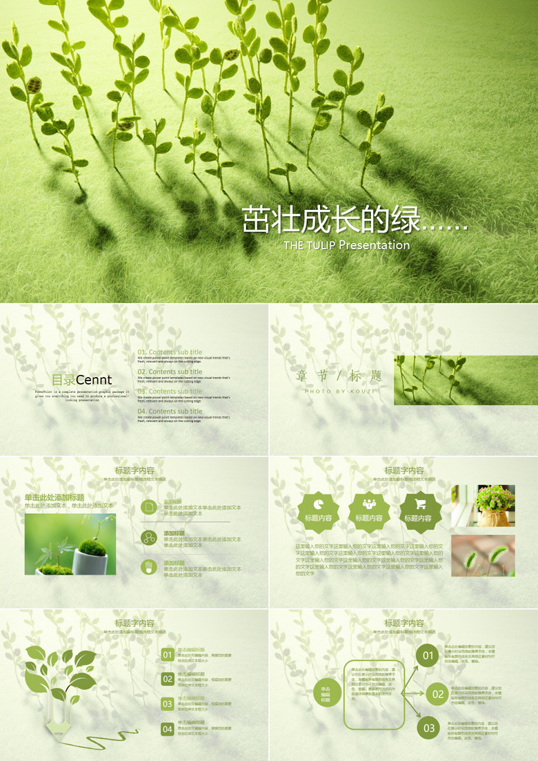 绿色清新简约说课教育培训通用PPT模板