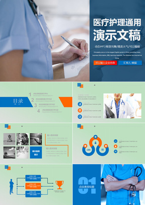 蓝色医疗医院医药代表工作总结报告ppt