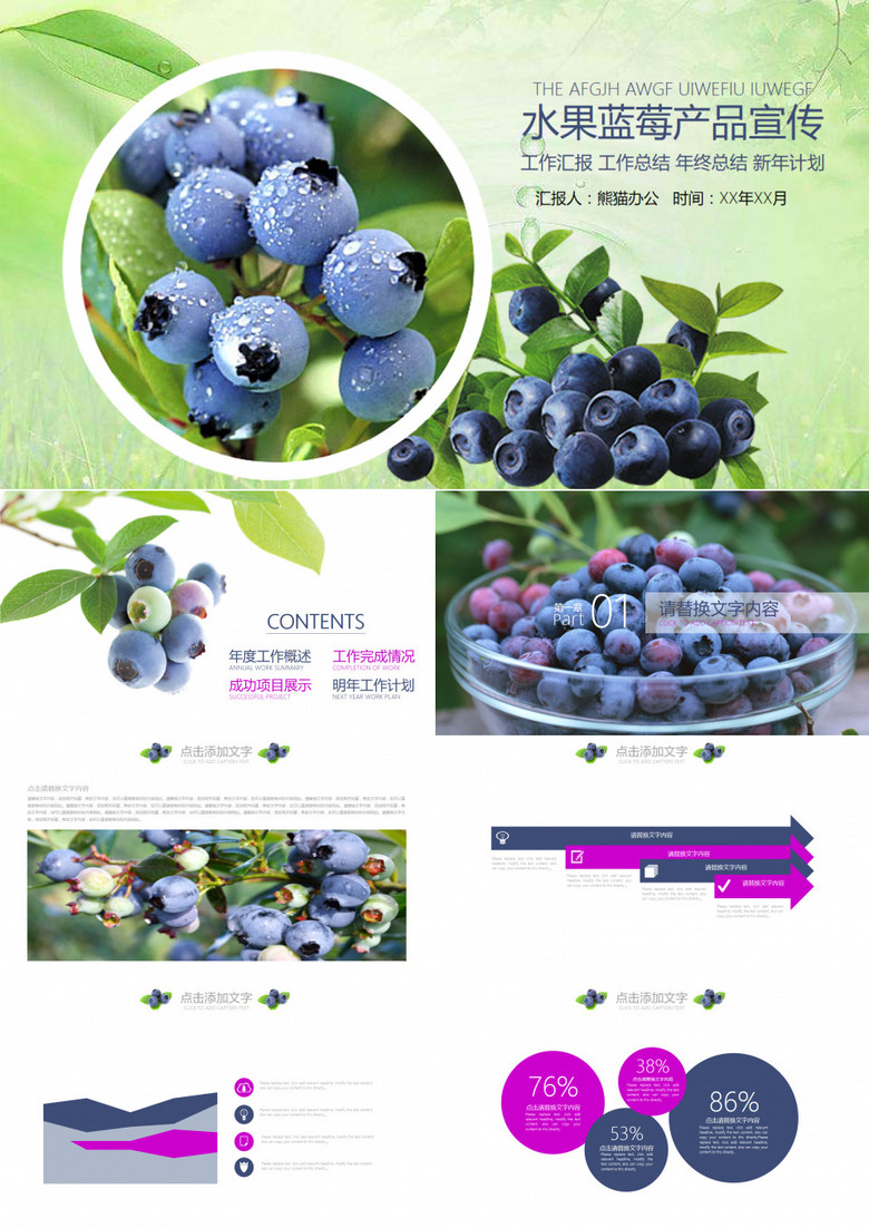 农产品水果蓝莓产品宣传通用PPT模板