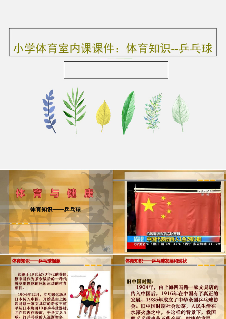 小学体育室内课课件：体育知识--乒乓球PPT文档共37页