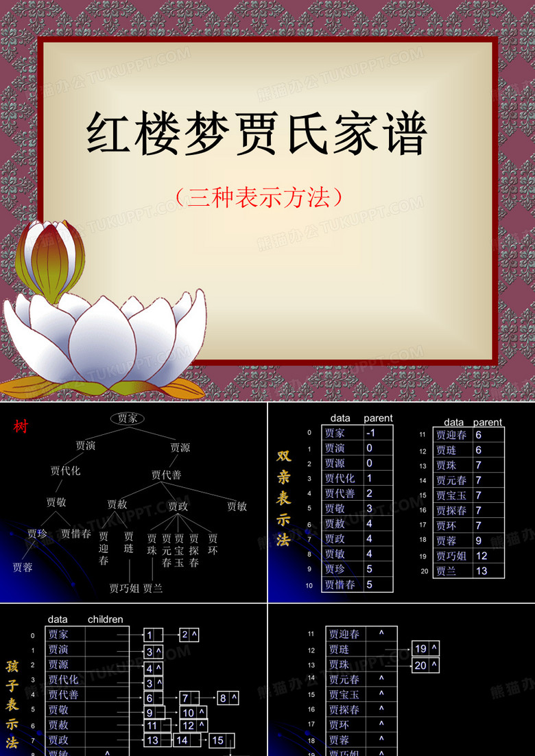 红楼梦贾氏家谱图