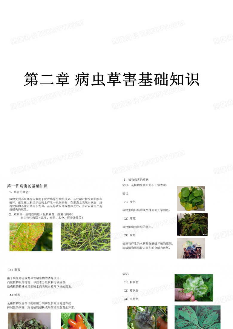 无人机植保技术第二章 病虫草害基础知识