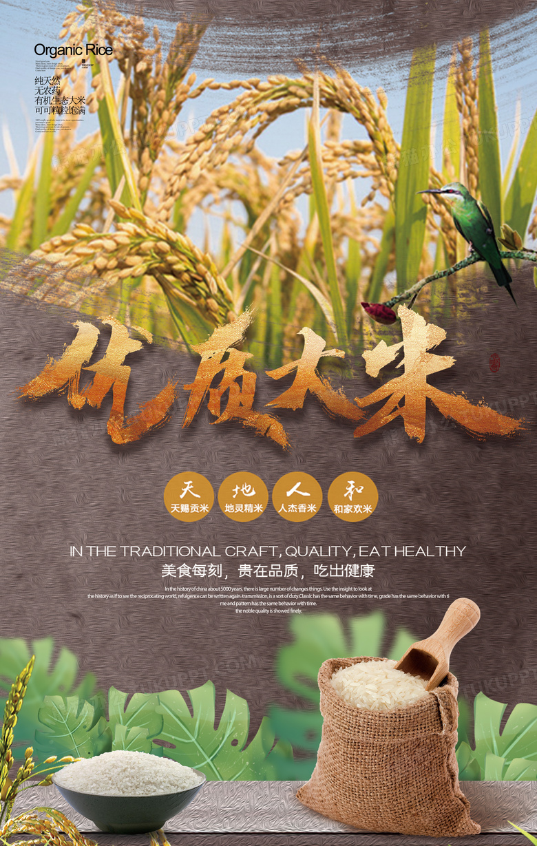 金色优质大米创意海报设计