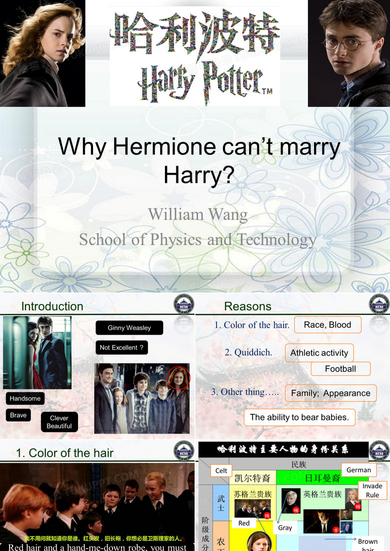 为什么赫敏不能和哈利波特在一起