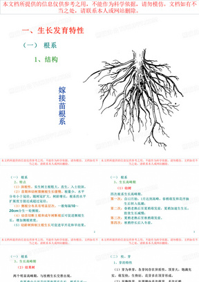 芒果生物学特性专业知识讲座