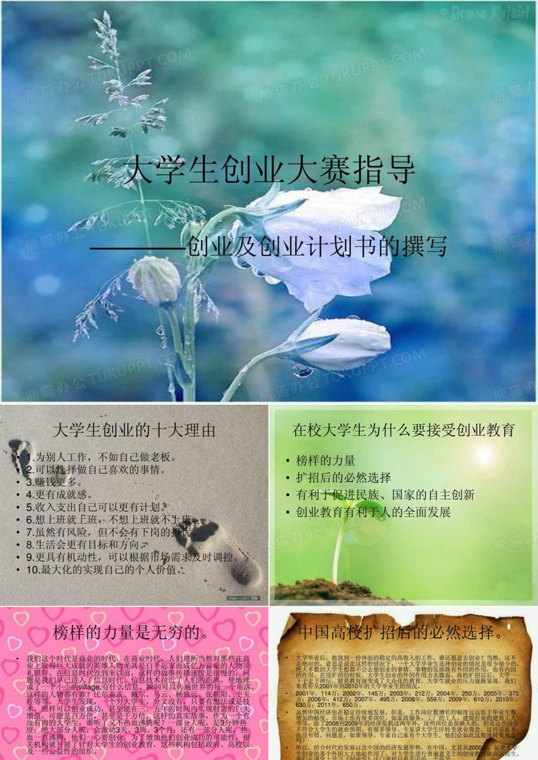 大学生创业大赛