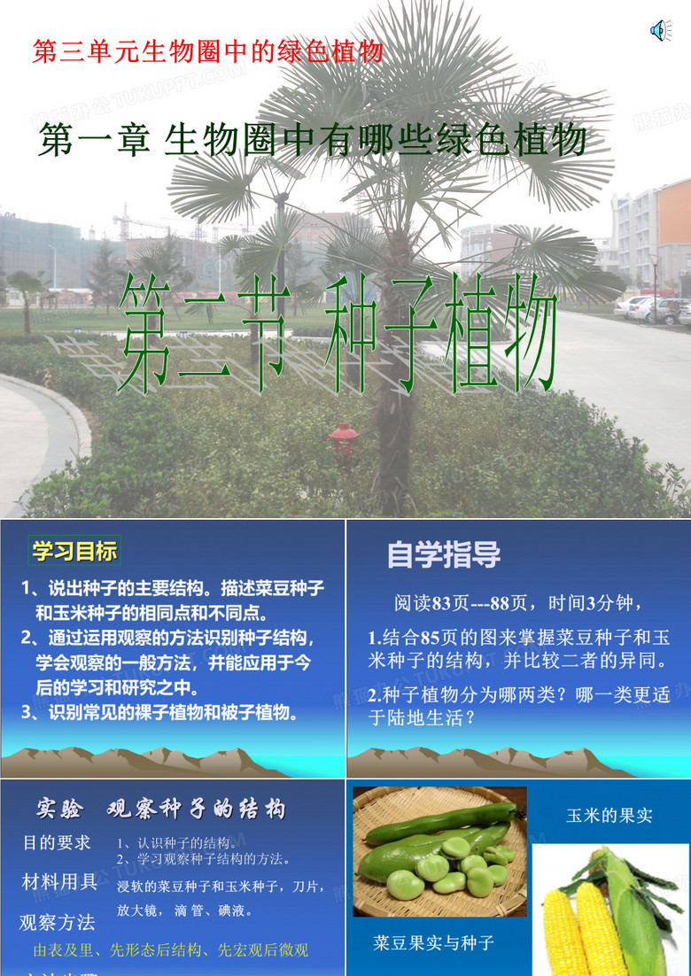 人教新课标(标准实验版)七年级上册第三单元第一章 生物圈中有哪些绿色植物第二节 种子植物